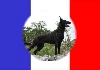  - Gothic Championne de France !!!