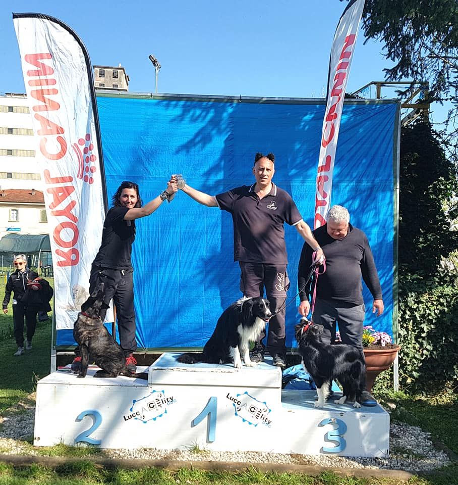 Du Rocher Des Ducs - Encore un podium en Agility 3 pour Maori !
