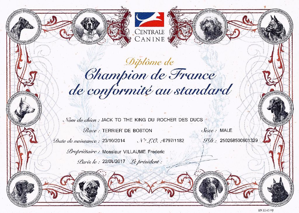 Du Rocher Des Ducs - JACK OFFICIELLEMENT CHAMPION DE FRANCE