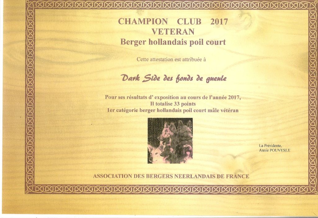 Du Rocher Des Ducs - Dark Side Champion Club Vétéran