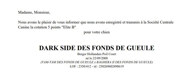 Du Rocher Des Ducs - Dark Side devient Elite !!!