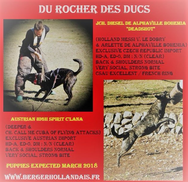 Du Rocher Des Ducs - Mariage exclusif en France !!