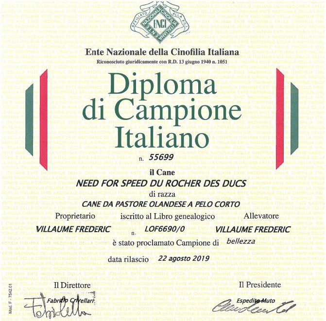 Du Rocher Des Ducs - Speed officiellement Championne d'Italie !