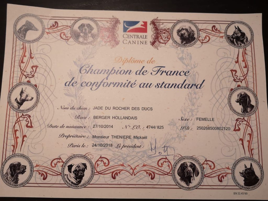 Du Rocher Des Ducs - Championne de France  de Conformité au Standard
