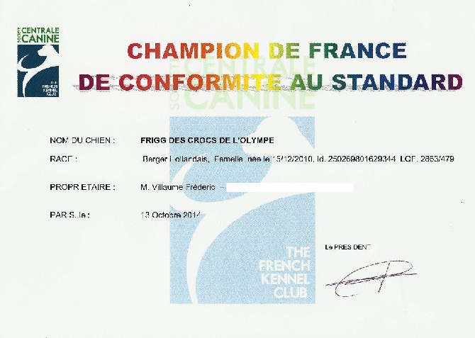 Du Rocher Des Ducs - Nouvelle Championne de France de Conformité au Standard !