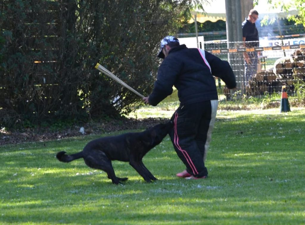 Tango Du Rocher Des Ducs