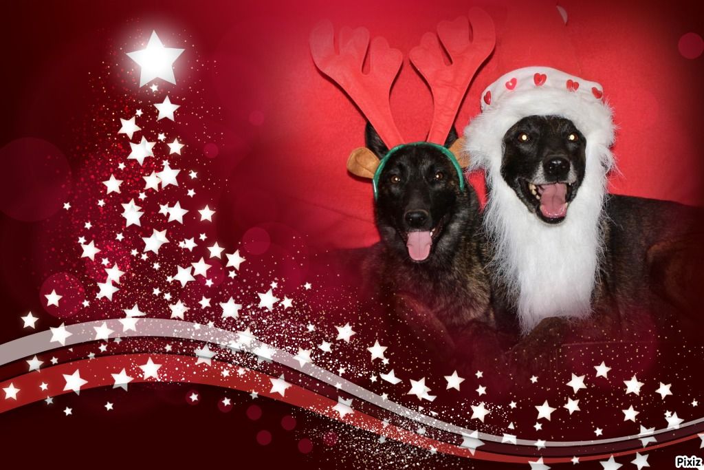 Meilleurs voeux pour 2026 ! 