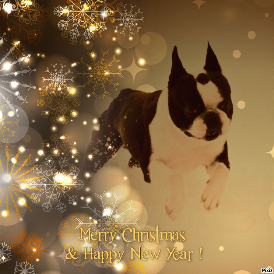 Du Rocher Des Ducs - Meilleurs voeux pour 2026 !